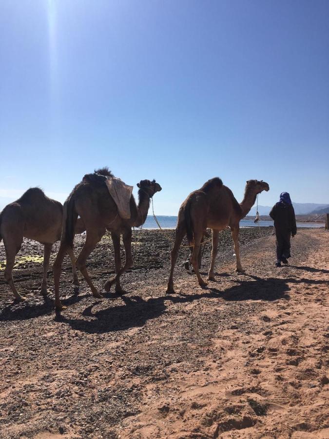 Anne Sinai'S Best Camp & Resturant 호텔 Nuweiba` 외부 사진
